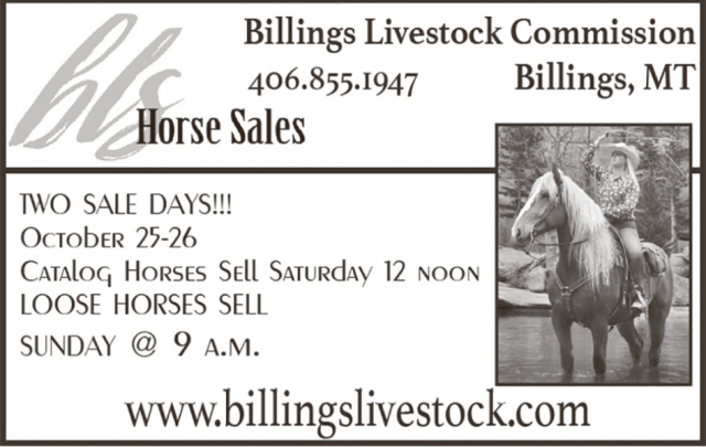 Horse Sales, Billings Livestock Commission, Billings, MT