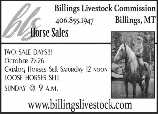 Horse Sales, Billings Livestock Commission, Billings, MT