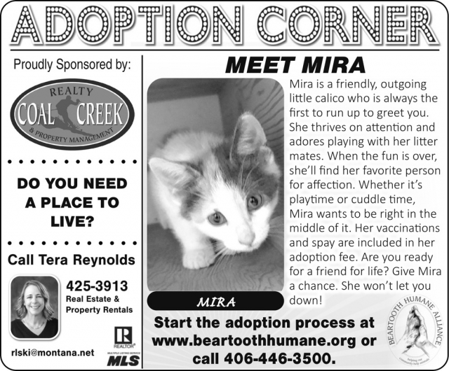 Adoption Corner, Tera Reynolds - Coal Creek Realty & Property Management