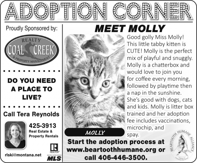 Adoption Corner, Tera Reynolds - Coal Creek Realty & Property Management