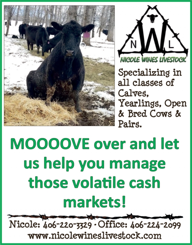 Move Over and Let Us Help You Manage Those Volatile Cash Markets!, Nicole Wines Livestock