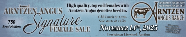 Signature Female Sale, Arntzen Angus