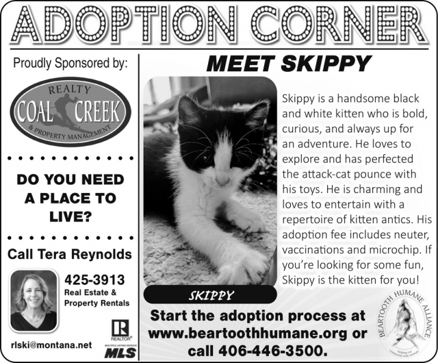Adoption Corner, Bear Tooth Humane, Red Lodge, MT