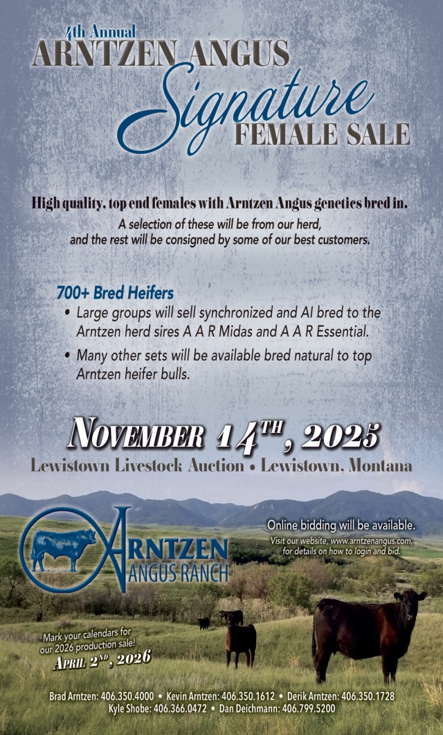 Signature Female Sale, Arntzen Angus