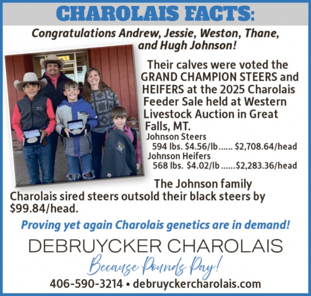 Charolais Facts, Debruycker Charolais