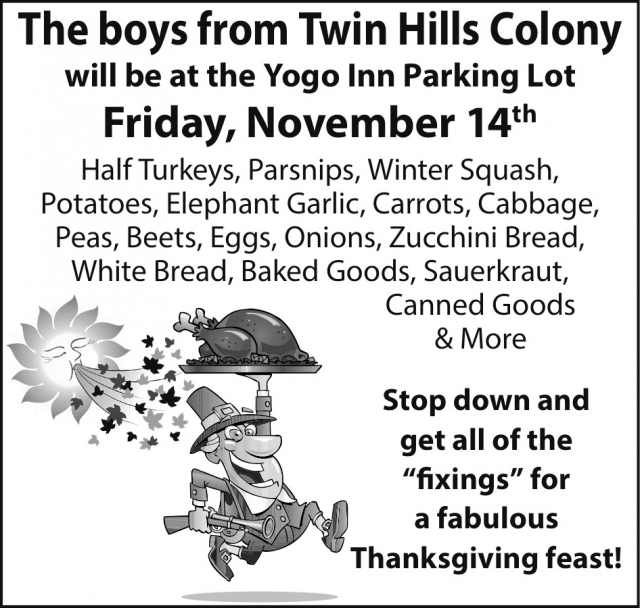 Half Turkeys, Twin Hills Colony at The Yogo Inn Parking Lot (April 5, 2024), Lewistown, MT