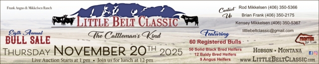 Bull Sale, Little Belt Classic (November 20, 2025)