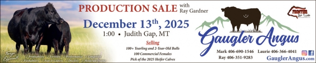 Proudction Sale, Gaugler Angus, Judith Gap, MT