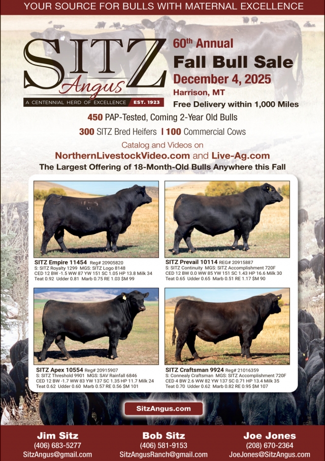 Your Source for Bulls with Maternal Excellence, Sitz Angus Ranch