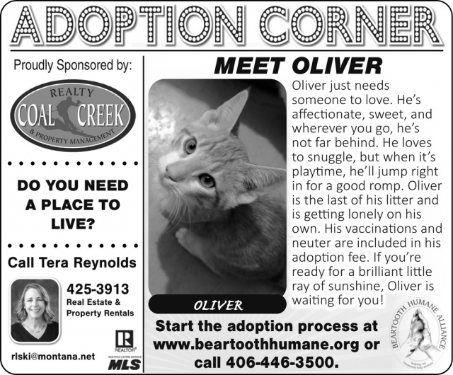 Adoption Corner, Tera Reynolds - Coal Creek Realty & Property Management