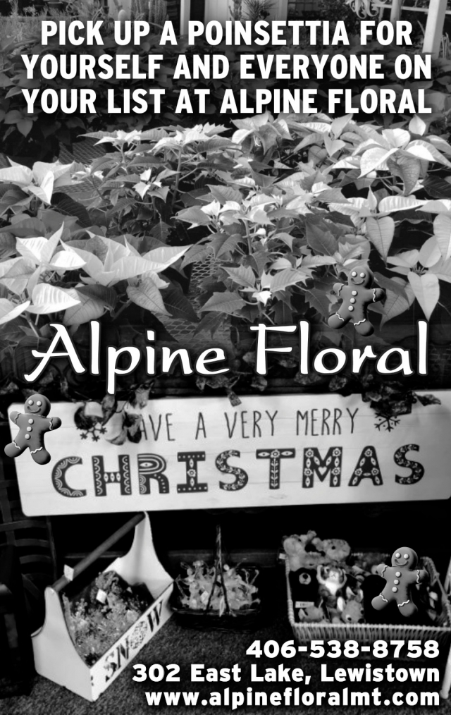 Pick up A Poinsettia for Yourself and Everyone on Your List at Alpine Floral, Alpine Floral, Lewistown, MT