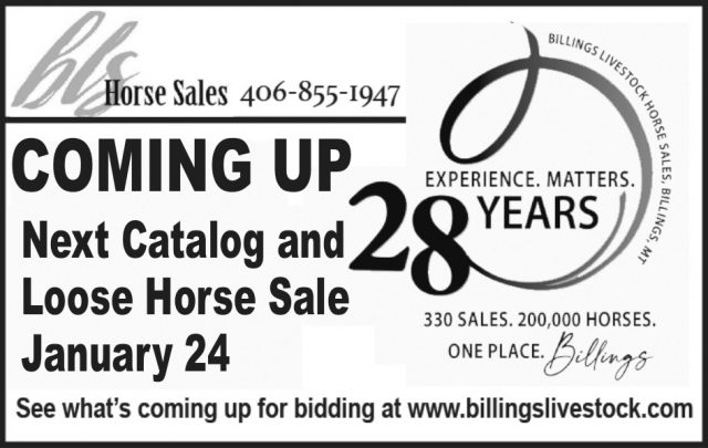 Horse Sales, Billings Livestock Commission, Billings, MT