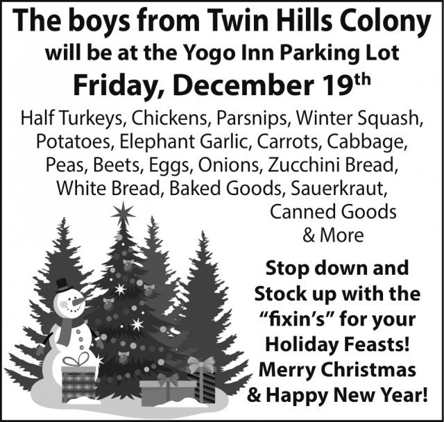 Half Turkeys, Twin Hills Colony at The Yogo Inn Parking Lot (April 5, 2024), Lewistown, MT