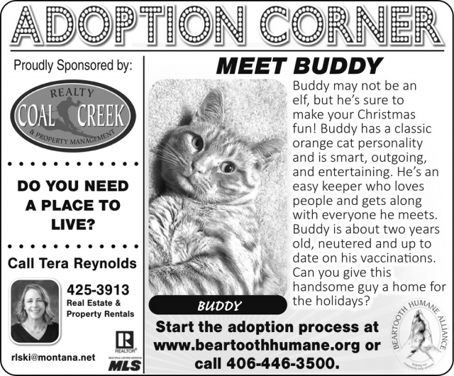 Adoption Corner, Tera Reynolds - Coal Creek Realty & Property Management