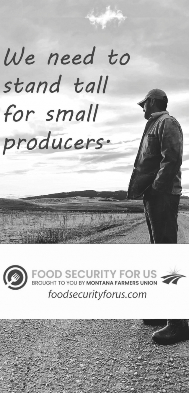 We Need To Stand Tall For Small Producers, Food Security For Us