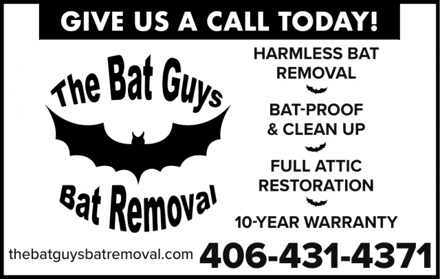 Harmless Bat Removal, The Bat Guys Bat Removal
