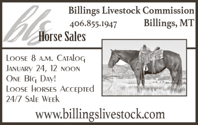 Horse Sales, Billings Livestock Commission, Billings, MT