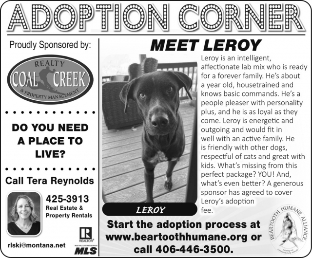 Adoption Corner, Tera Reynolds - Coal Creek Realty & Property Management