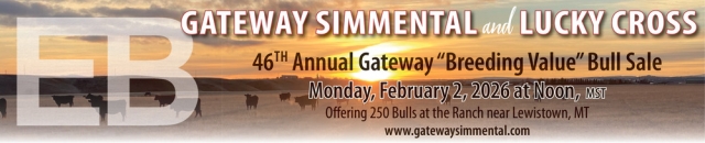46th Annual Gateway Breding Value Bull Sale, Gateway Simmental & Lucky Cross, Lewistown, MT
