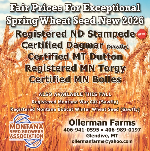 Fair Prices for Exceptional Spring Wheat Seed, Ollerman Farms