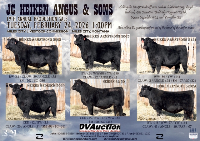19th Annual Production Sale, JC Heiken Angus & Sons, Broadview, MT
