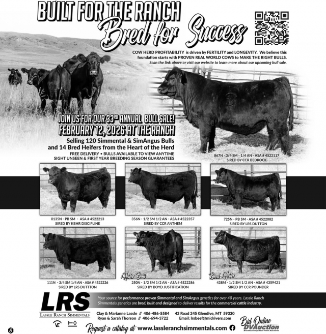 Built for The Ranch Bred for Success, Lassle Ranch Simmentals