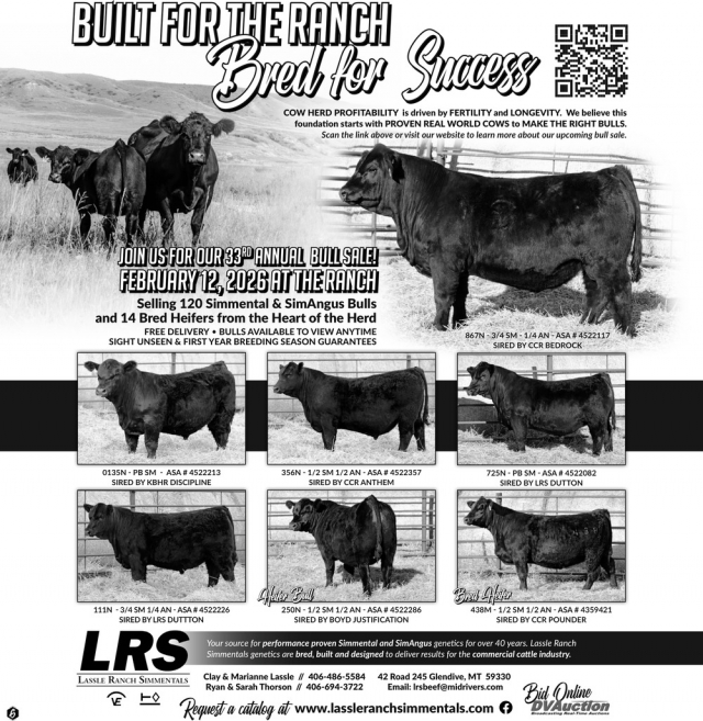 Built for The Ranch Bred for Success, Lassle Ranch Simmentals