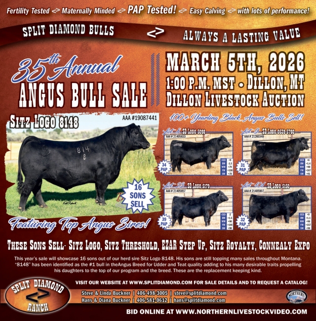 35th Annual Bull Sale, Split Diamond Ranch