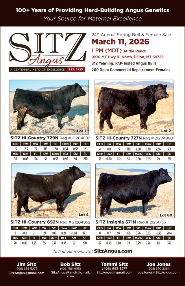 100+ Years of Providing Herd-Building Angus Genetics, Sitz Angus Ranch