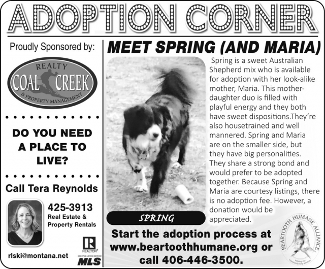 Property Management, tera rey