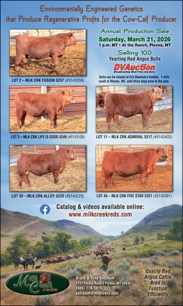 Environmentally Engineered Genetics, Milk Creek Reds, Plevna, MT