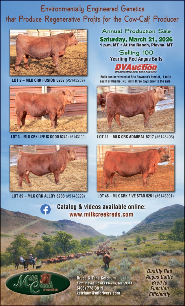 Environmentally Engineered Genetics, Milk Creek Reds, Plevna, MT