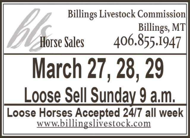 Horse Sales, Billings Livestock Commission, Billings, MT