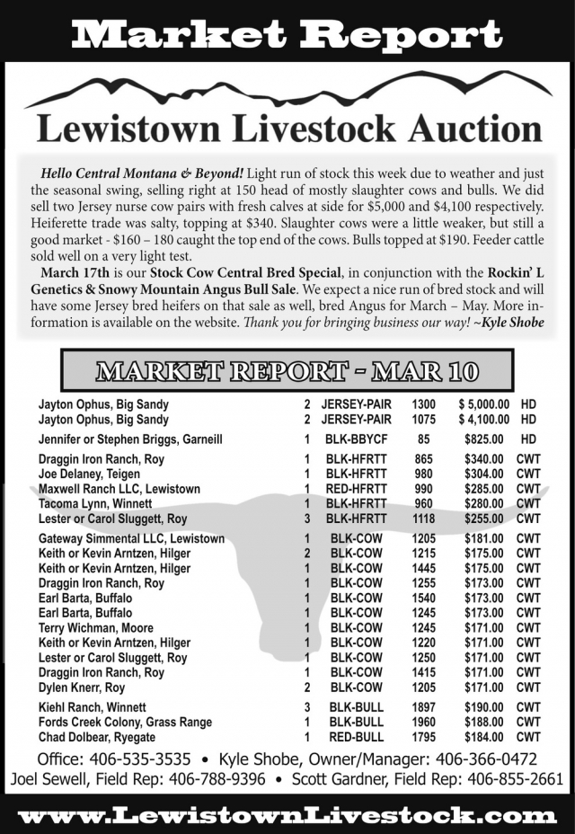 Market Report, Lewistown Livestock Auction, Lewistown, MT