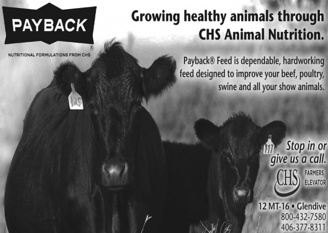 Growing Healthy Animals Through CHS Animal Nutrition, CHS Farmers Elevator, Miles City, MT