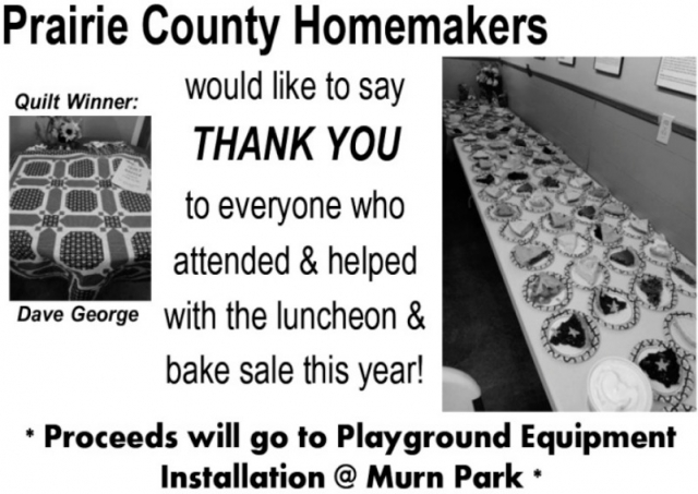 Quilt Winner: Dave George, Prairie County Homemakers, MT