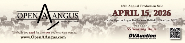 18th Annual Production Sale, Open A  Angus, Belfield, ND