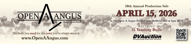 18th Annual Production Sale, Open A  Angus, Belfield, ND