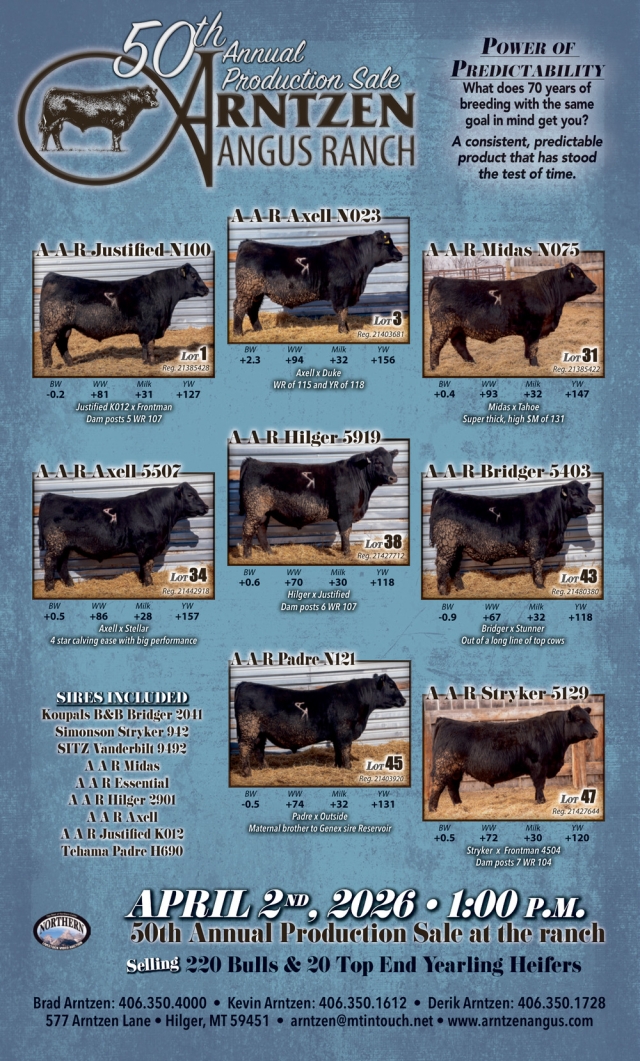 Angus Ranch, Arntzen Angus