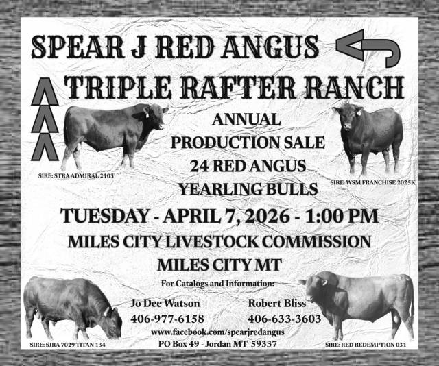 Triple Rafter Ranch, Spear J Red Angus, Jordan, MT