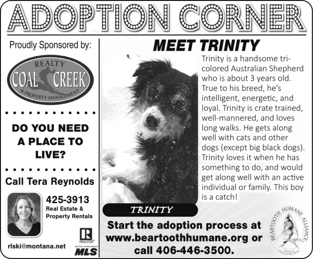 Property Management, Tera Reynolds - Coal Creek Realty & Property Management