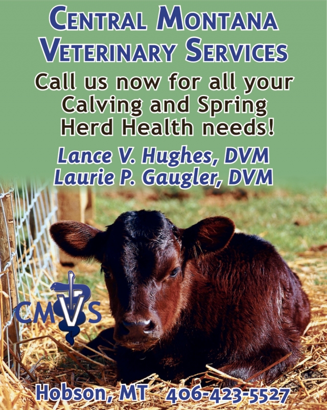 Call Us Now for All Your Calving and Spring Herd Health Needs!, Central Montana Veterinary Services, Hobson, MT