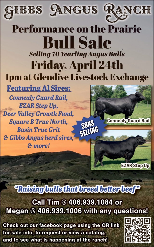 Performance on The Prairie Bull Sale, Gibbs Angus Ranch