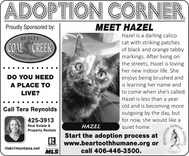 Adoption Corner, Tera Reynolds - Coal Creek Realty & Property Management