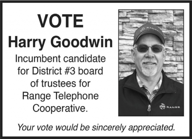 Incumbent Candidate for District #3, Harry Goodwin