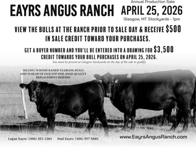 Annual Production Sale, Eayrs Angus Ranch