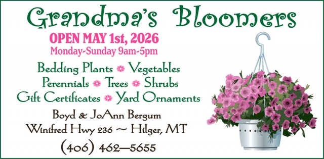 Bedding Plants, Grandma's Bloomers, Hilger, MT