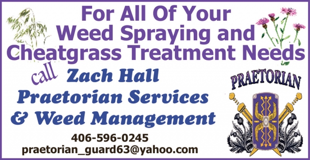 For All of Your Weed Spraying and Cheatgrass Treatment Needs, Zach Hall Praetorian Services & Weed Management