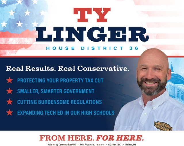 Real Results. Real Conservative., Ty Linger House District 36