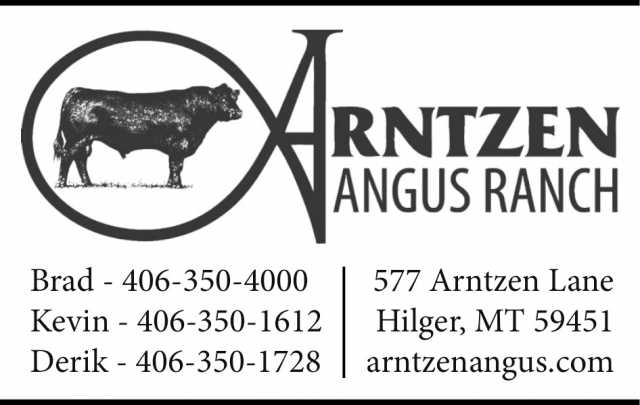 Angus Ranch, Arntzen Angus